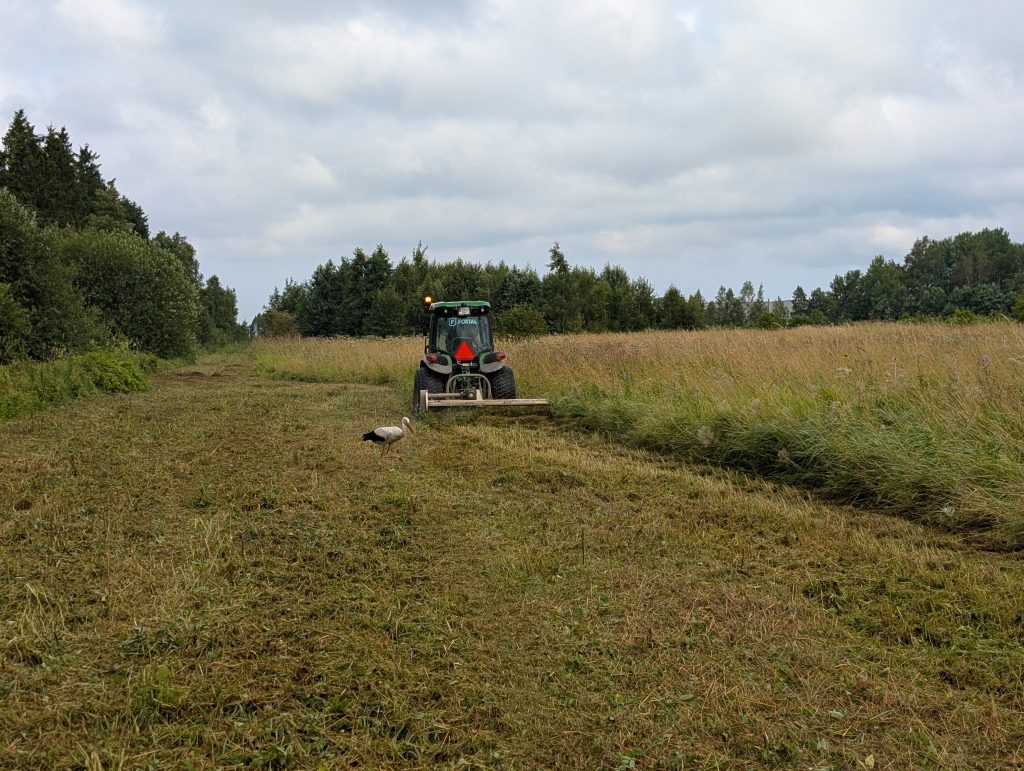 PXL_20250801_074102325
